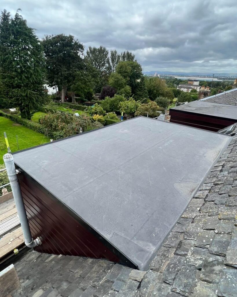 10f1c51e-42c1-475c-bab0-9d0eeb8303e1